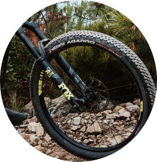 vittoria-selector-agarro