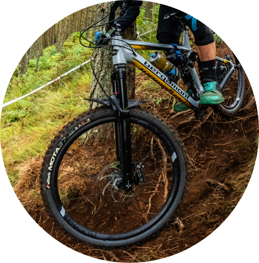 vittoria-selector-mota