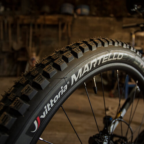 Slector_TRAIL_Martello